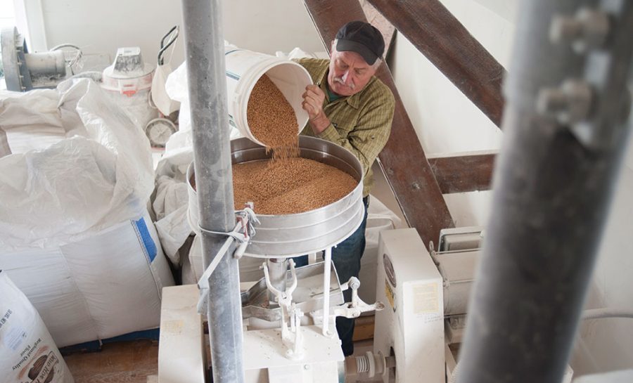 Don Lewis pouring grain into his stone mill at Wild Hive Farm